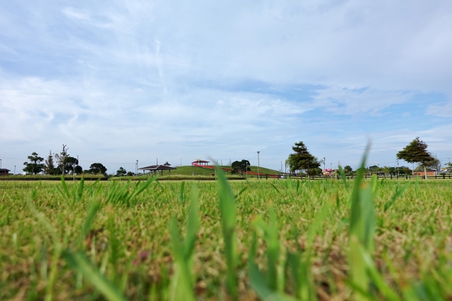 野栄ふれあい公園
